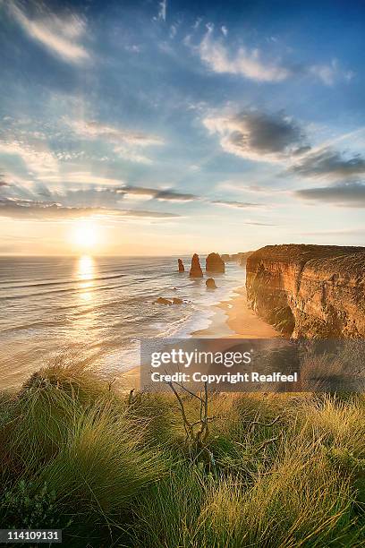 twelve apostles - great ocean road stock pictures, royalty-free photos & images