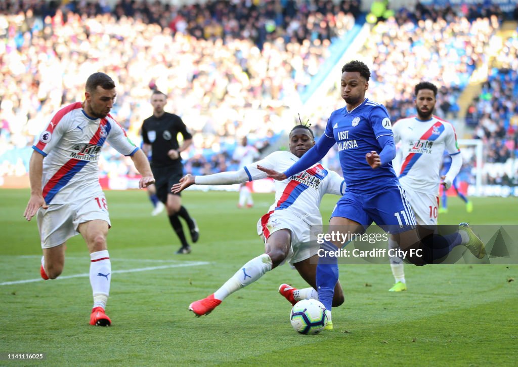 Cardiff City v Crystal Palace - Premier League