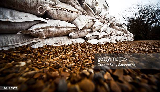 sand bags - sandbag stock pictures, royalty-free photos & images