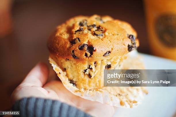 chocolate chip muffin - milton ontario stock pictures, royalty-free photos & images