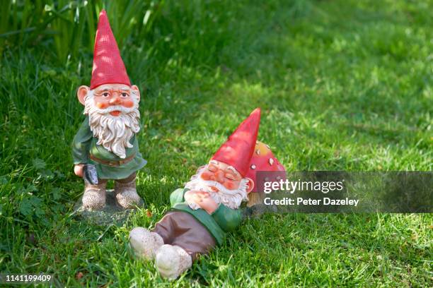 two garden gnomes - gnomo da giardino foto e immagini stock