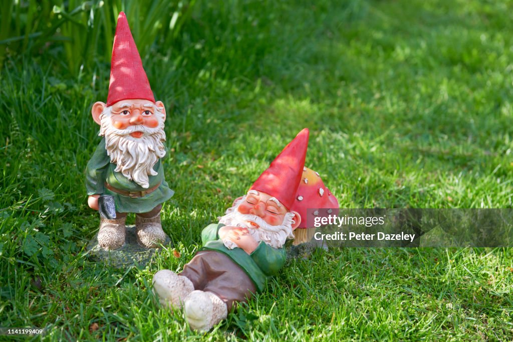 Two Garden Gnomes