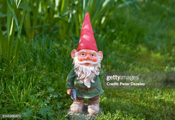 a garden gnome looking at camera - tacky lawn ornaments stock pictures, royalty-free photos & images