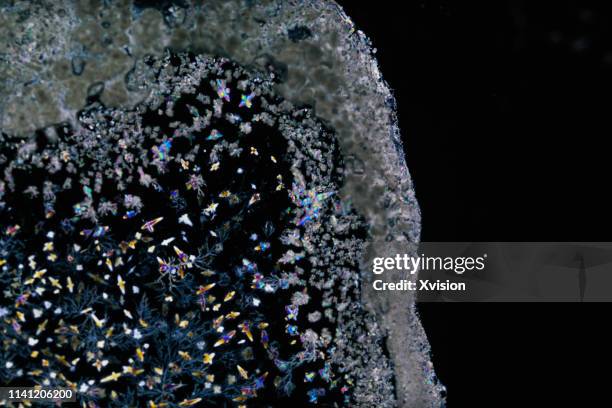148 Crystallization Macro Stock Photos, High-Res Pictures, and Images ...