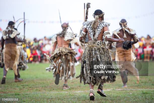 Ludzidzini, Swaziland, Africa - Umhlanga, reed dance ceremony Maidens dance before King Mswati III on day 7 of the ceremony.