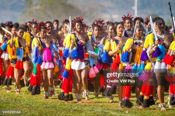 Image contains nudity.) Ludzidzini, Swaziland, Africa - Umhlanga, reed dance ceremony Maidens dance before King Mswati III on day 7 of the ceremony.