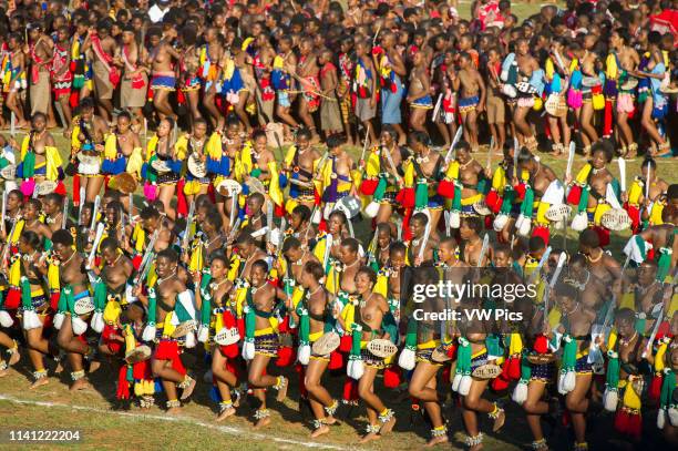 Image contains nudity.) Ludzidzini, Swaziland, Africa - Umhlanga, reed dance ceremony Maidens dance before King Mswati III on day 7 of the ceremony.