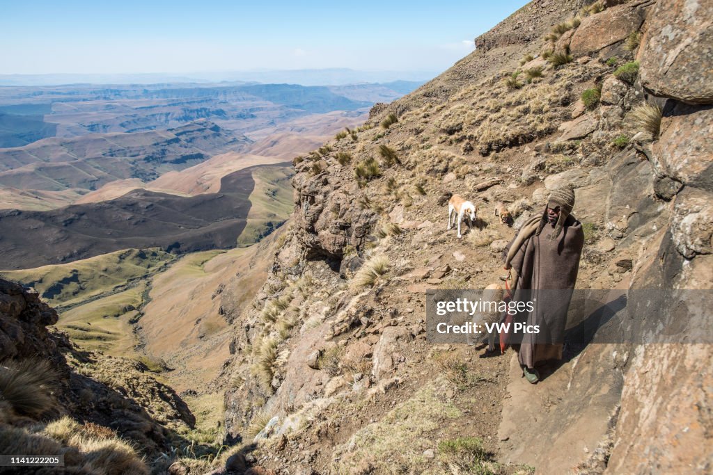 A local shepherd with his dogs wrapped in a blanket in the mountains of Lesotho.