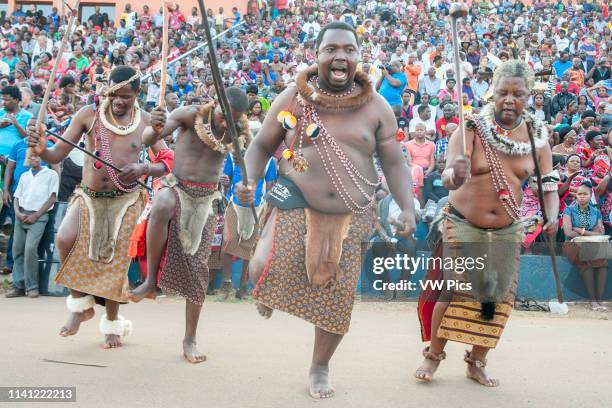 Ludzidzini, Swaziland, Africa - Umhlanga, reed dance ceremony Maidens dance before King Mswati III on day 7 of the ceremony.