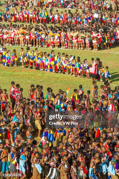 Image contains nudity.) Ludzidzini, Swaziland, Africa - Umhlanga, reed dance ceremony Maidens dance before King Mswati III on day 7 of the ceremony.