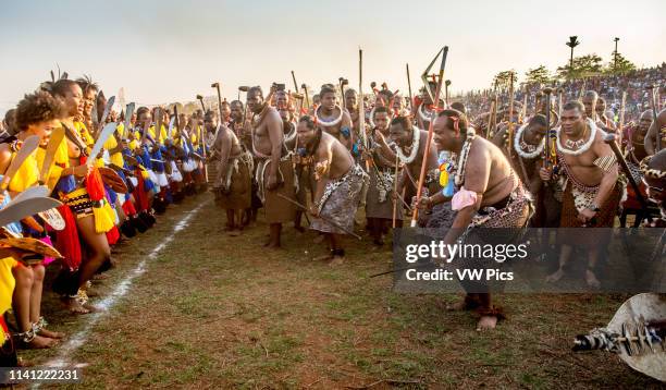 Ludzidzini, Swaziland, Africa - Umhlanga, reed dance ceremony Maidens dance before King Mswati III on day 7 of the ceremony.