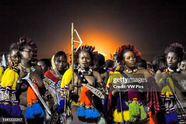 Image contains nudity.) Ludzidzini, Swaziland, Africa - Umhlanga, reed dance ceremony Maidens dance before King Mswati III on day 7 of the ceremony.