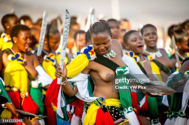 Image contains nudity.) Ludzidzini, Swaziland, Africa - Annual Umhlanga, or reed dance ceremony, in which up to 100,000 young Swazi women gather to...