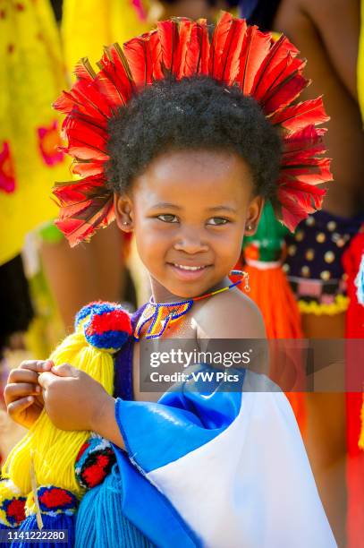 Ludzidzini, Swaziland, Africa - Umhlanga, reed dance ceremony Maidens present cut reeds to the queen mother of Swaziland for her Kraal.