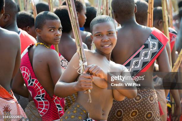 Image contains nudity.) Ludzidzini, Swaziland, Africa - Umhlanga, reed dance ceremony Maidens present cut reeds to the queen mother of Swaziland for...