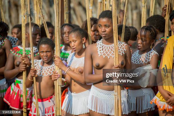Image contains nudity.) Ludzidzini, Swaziland, Africa - Annual Umhlanga, or reed dance ceremony, in which up to 100,000 young Swazi women gather to...