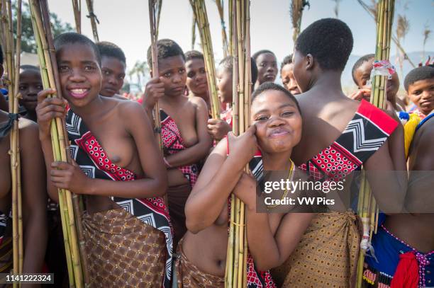 Image contains nudity.) Ludzidzini, Swaziland, Africa - Annual Umhlanga, or reed dance ceremony, in which up to 100,000 young Swazi women gather to...