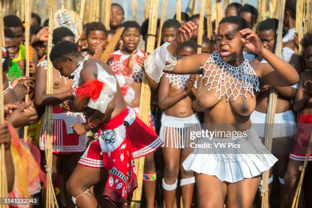 Image contains nudity.) Ludzidzini, Swaziland, Africa - Annual Umhlanga, or reed dance ceremony, in which up to 100,000 young Swazi women gather to...