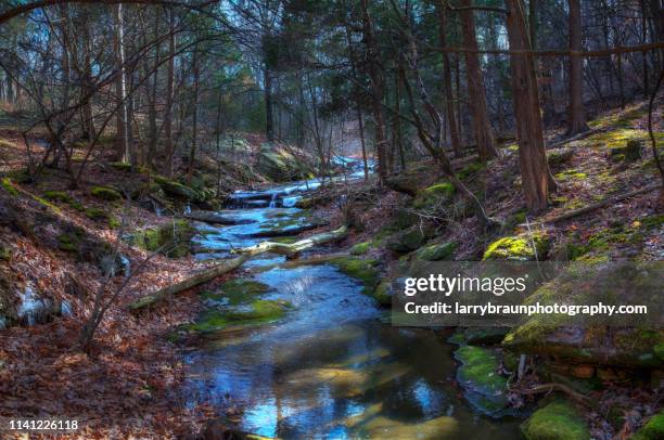 small stream on the  sandstone canyon trail - missouri landscape stock pictures, royalty-free photos & images