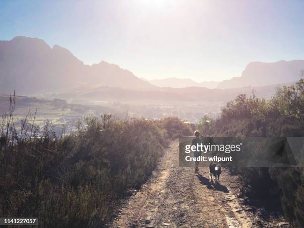 boy running with his dog at sunrise - boy running with dog stock pictures, royalty-free photos & images