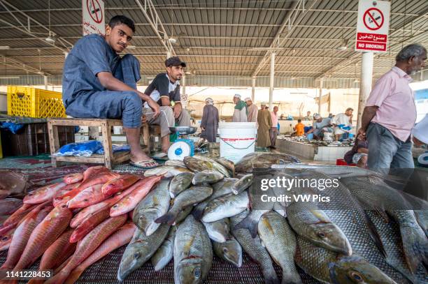 Muscat Fish 285 Muscat Fish Stock Photos, High-Res Pictures, and Images - Getty Images