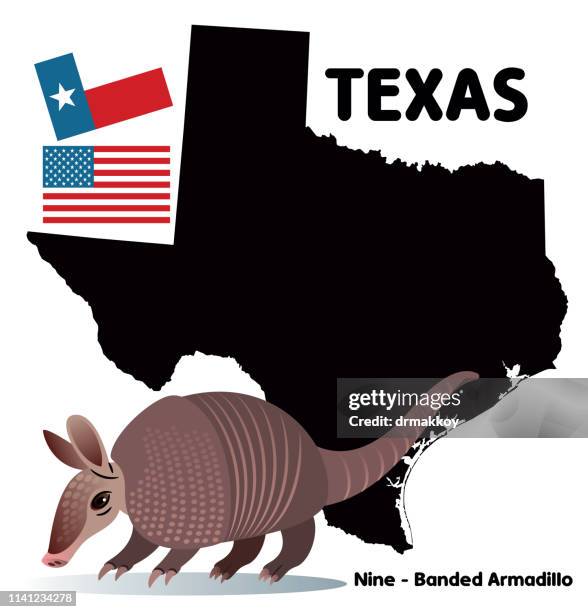 armadillo i̇n texas - amarillo color stock-grafiken, -clipart, -cartoons und -symbole