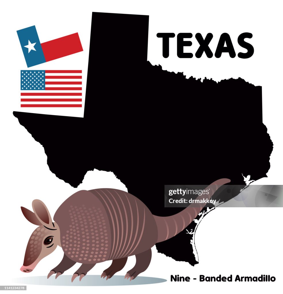 Armadillo İN TEXAS