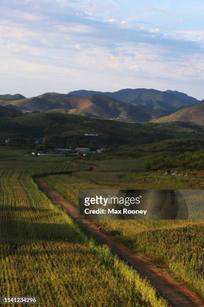 path in north korea - north korea landscape - fotografias e filmes do acervo