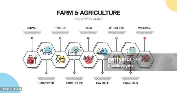 farm and agriculture related line infographic design - ecosystem icons stock illustrations