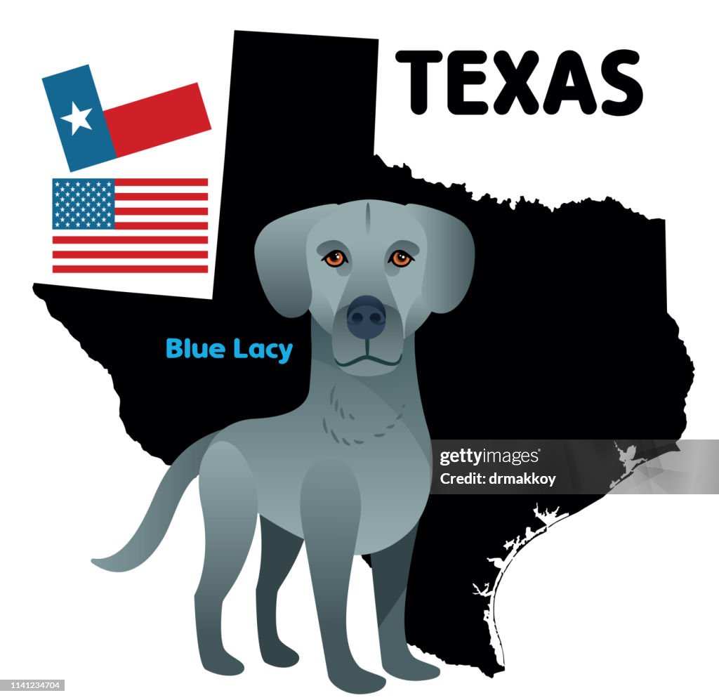 Blue Lacy