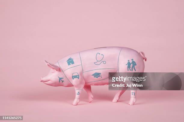 Piggy Bank with Butcher's Diagram and Icons