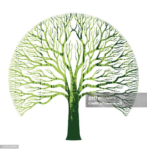 big round green oak tree illustration - giant stock illustrations