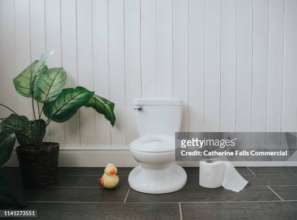 tiny toilet - plaspot stockfoto's en -beelden