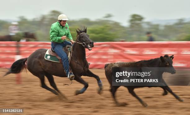 Campdraft Wild Rider 62 Campdrafting Stock Photos, High-Res Pictures, and Images - Getty Images