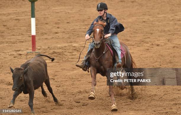 Prosten Campdraft 62 Campdrafting Stock Photos, High-Res Pictures, and Images - Getty Images