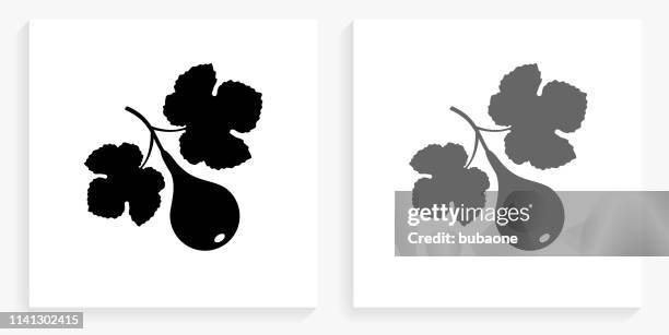 fig fruit black and white square icon - figs stock illustrations