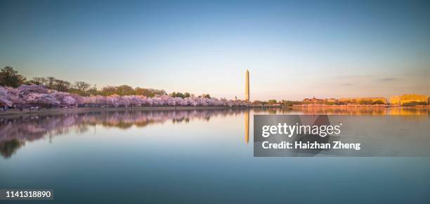 washington dc in spring - washington dc sunrise stock pictures, royalty-free photos & images