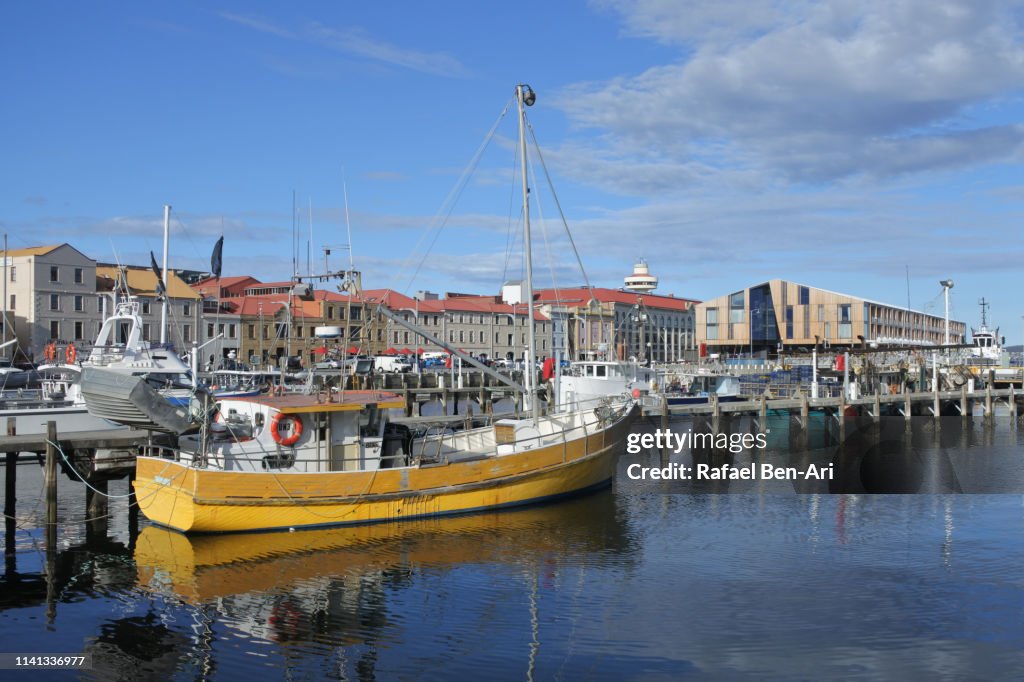 Fishing boats in Constitution Dock Hobart Tasmania Australia