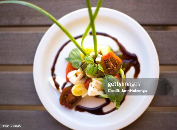 magnifique salade de caprese avec vinaigrette balsamique - vinaigrette dressing photos et images de collection