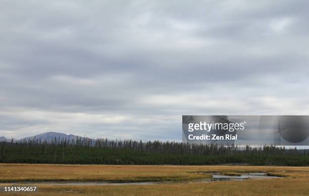 flat and almost featureless grayish clouds over lamar valley in wyoming - くもり ストックフォトと画像