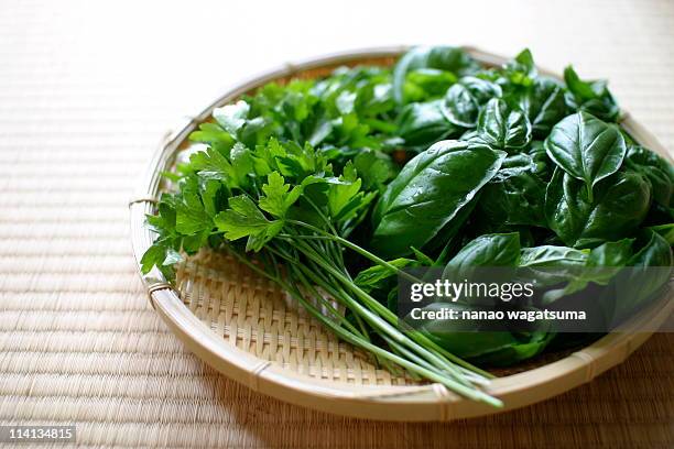 basil and flat-leaf parsley on the bamboo basket - plant stem stock pictures, royalty-free photos & images