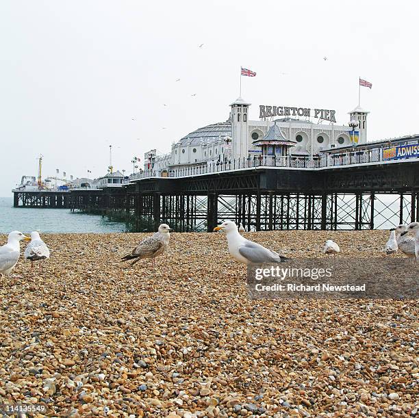 brighton pier - brighton races stock pictures, royalty-free photos & images