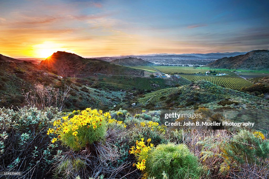 Camarillo Sunset