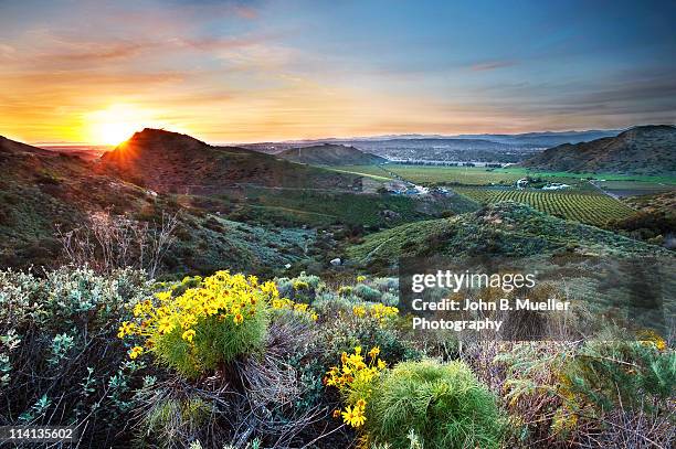 camarillo sunset - ventura county bildbanksfoton och bilder