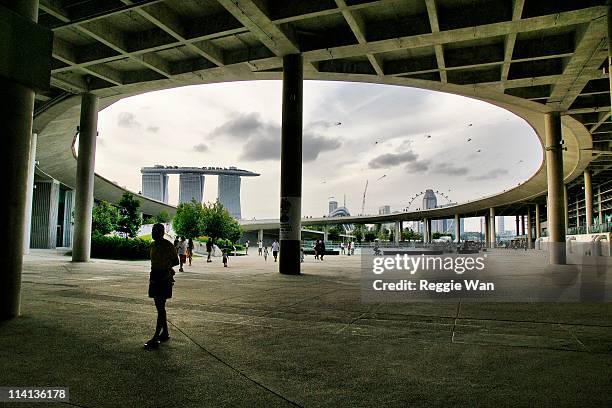 circle of life. - singapore city people stock pictures, royalty-free photos & images