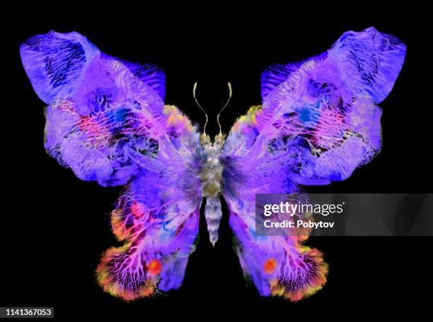 fantastic painted butterfly - expressionism stock illustrations