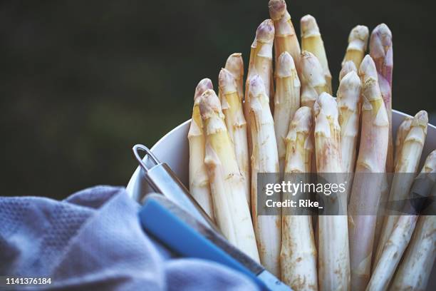 fresh white german asparagus peeled - asparagus stock pictures, royalty-free photos & images