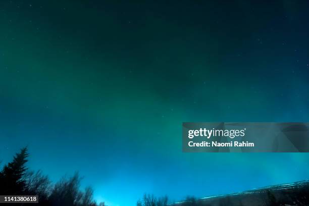 northern lights over a forest in akureryi, iceland - nordhalbkugel stock-fotos und bilder