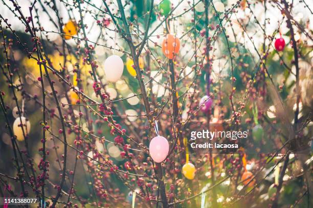 decorated branch with easter eggs - easter stock-fotos und bilder