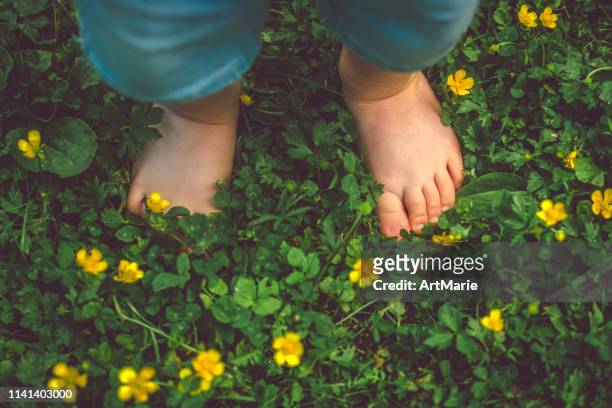 child's feet on the green grass - foot nature green stock pictures, royalty-free photos & images